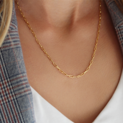 Small  Silver Paperclip Necklace