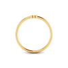 Initial Ring A