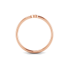 Initial Ring C