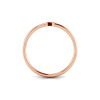 Initial Ring N