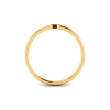Initial Ring N
