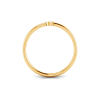 Initial Ring Q