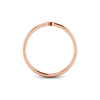 Initial Ring R