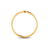 Initial Ring R