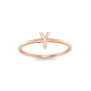 Initial Ring Y