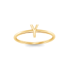 Initial Ring Y