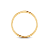 Initial Ring Z