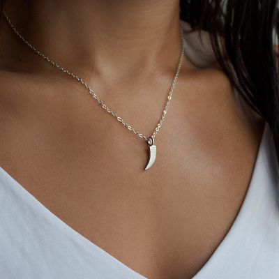 Native Horn Charm