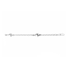 Silver Dolphin Anklet