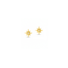 Gold Diamond North Star Stud Earrings