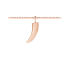 Native Horn Charm