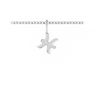 Zodiac Charm - Pisces