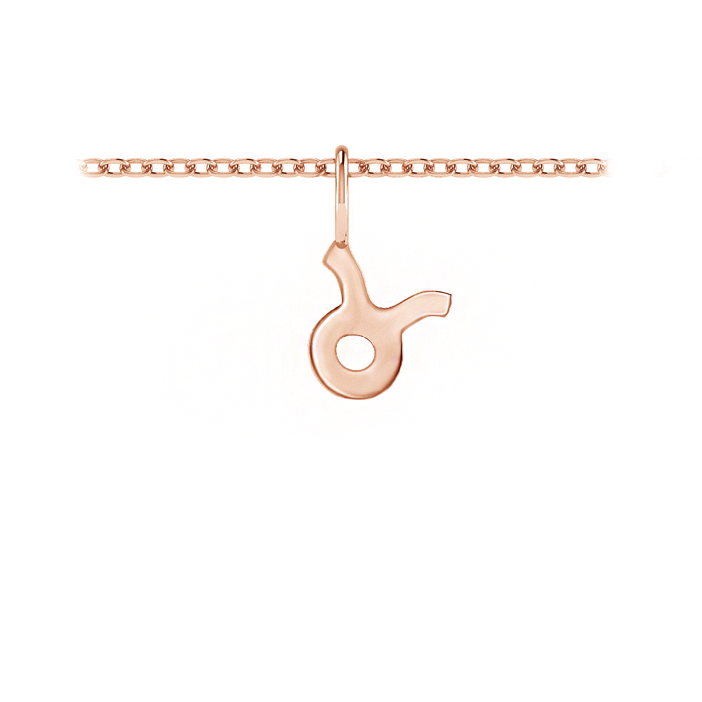 Zodiac Charm - Taurus