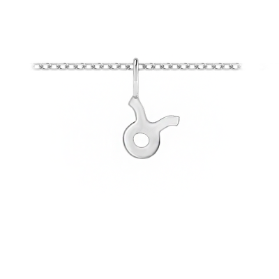 Zodiac Charm - Taurus