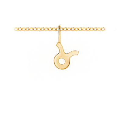 Zodiac Charm - Taurus