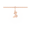 Zodiac Charm - Capricorn