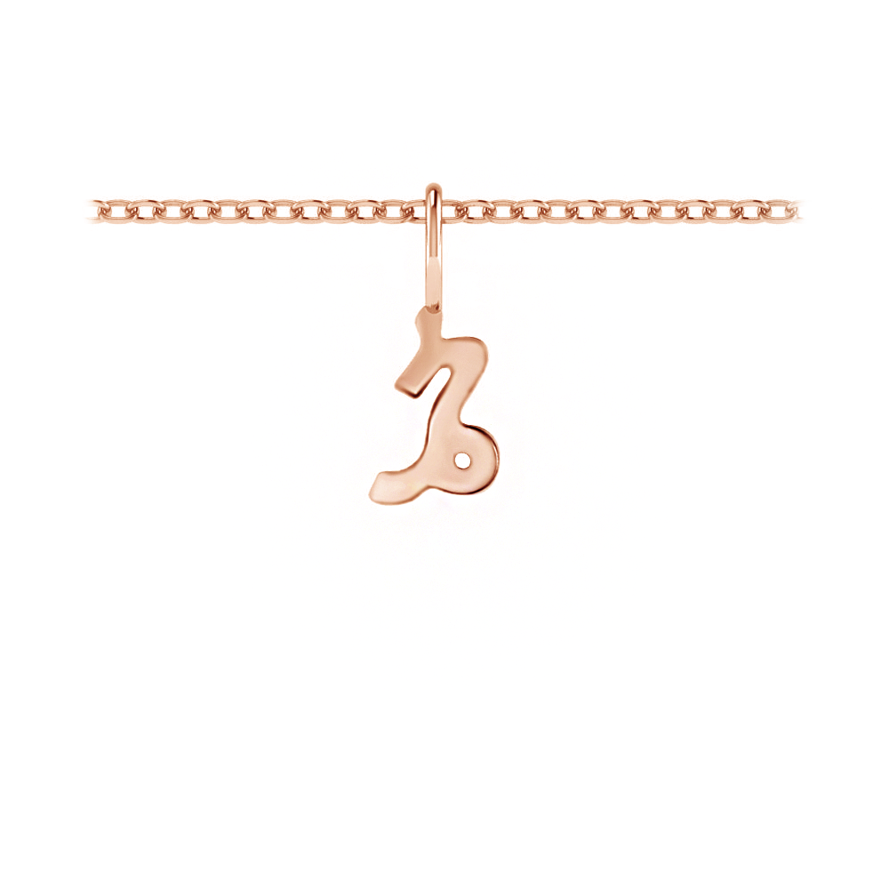 Zodiac Charm - Capricorn