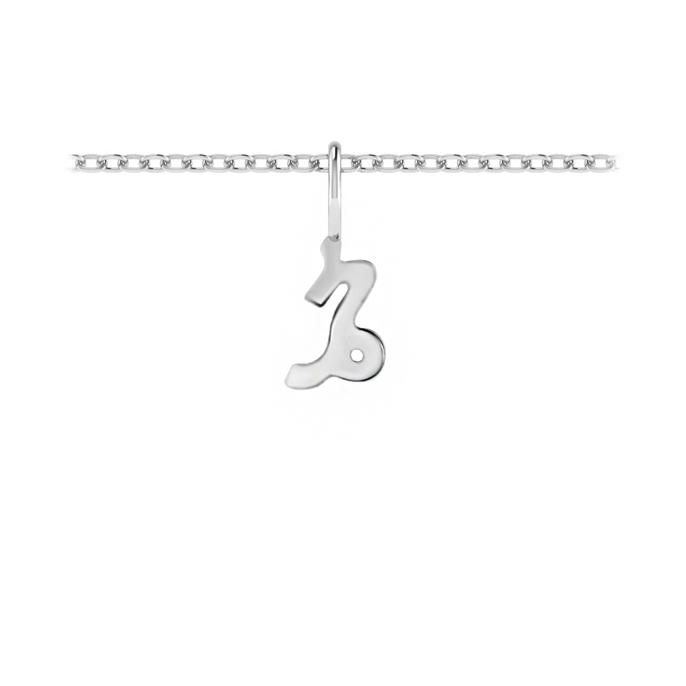 Zodiac Charm - Capricorn