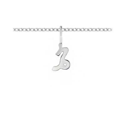 Zodiac Charm - Capricorn