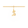 Zodiac Charm - Capricorn