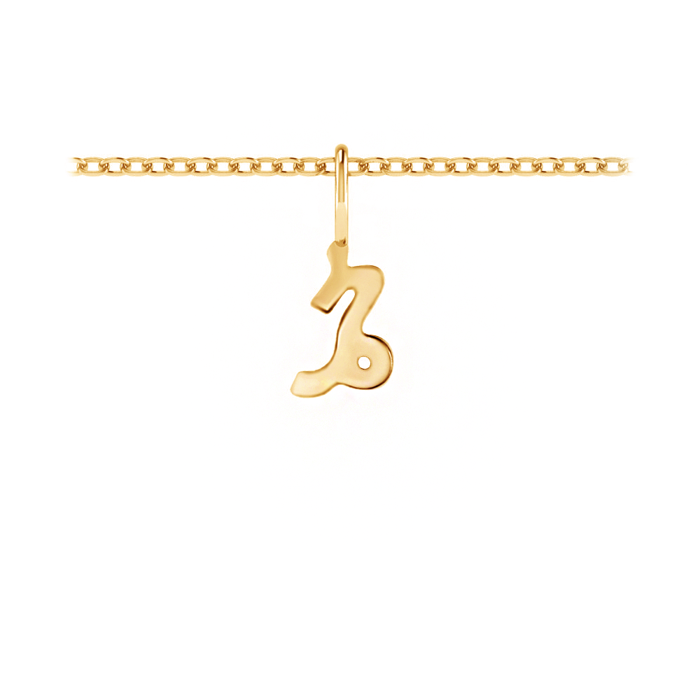 Zodiac Charm - Capricorn