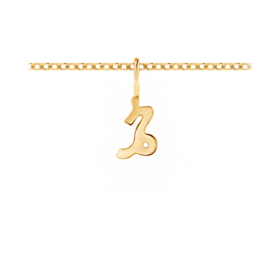 Zodiac Charm - Capricorn