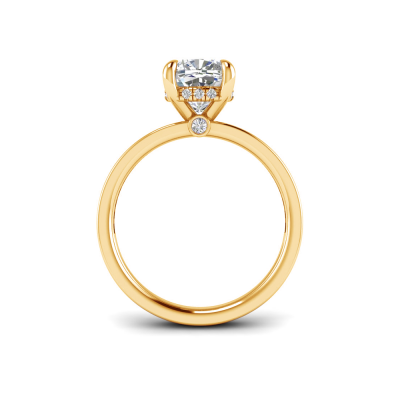 4 Ct Cushion Lab Diamond & .33 Ctw Diamond Surprise Channel Set Hidden Halo Engagement Ring