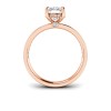 2 Ct Elongated Cushion Lab Diamond & .33 Ctw Diamond Surprise Channel Set Hidden Halo Engagement Ring