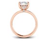 3 Ct Elongated Cushion Lab Diamond & .33 Ctw Diamond Surprise Channel Set Hidden Halo Engagement Ring