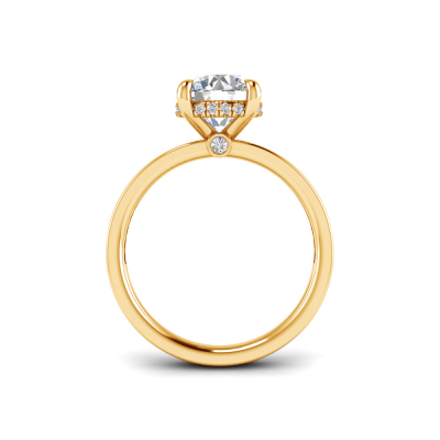 2 Ct Round Lab Diamond & .33 Ctw Diamond Surprise Channel Set Hidden Halo Engagement Ring