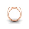 Lab Diamond Signet Ring with Dainty Frame