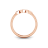 Zodiac Ring - Aquarius