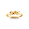 Zodiac Ring - Aquarius