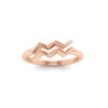 Zodiac Ring - Aquarius