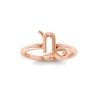 Zodiac Ring - Capricorn