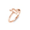 Zodiac Ring - Capricorn