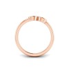 Zodiac Ring - Capricorn