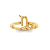 Zodiac Ring - Capricorn
