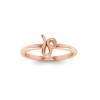 Zodiac Ring - Leo