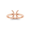 Zodiac Ring - Pisces