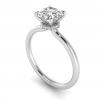 Secret Halo Solitaire Ring Setting
