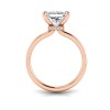 1 Ct Princess Lab Diamond & .06 Ctw Diamond Secret Halo Solitaire Ring