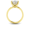 4 Ct Pear Moissanite & .23 Ctw Diamond Hidden Halo Engagement Ring