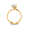 4 Ct Cushion Lab Diamond & .10 Ct Diamond Hidden Halo Engagement Ring