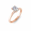 1 Ct Elongated Cushion Lab Diamond & .10 Ctw Diamond Hidden Halo Engagement Ring