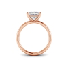 3 Ct Princess Lab Diamond & .10 Ctw Diamond Hidden Halo Engagement Ring