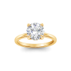 2 Ct Round Lab Diamond & .10 Ctw Diamond Hidden Halo Engagement Ring