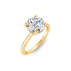 2.5 Ct Round Lab Diamond & .10 Ctw Diamond Hidden Halo Engagement Ring