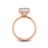 4 Ct Oval Moissanite & .10 Ct Diamond Hidden Halo Engagement Ring