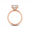5 Ct Oval Lab Diamond & .10 Ct Diamond Hidden Halo Engagement Ring
